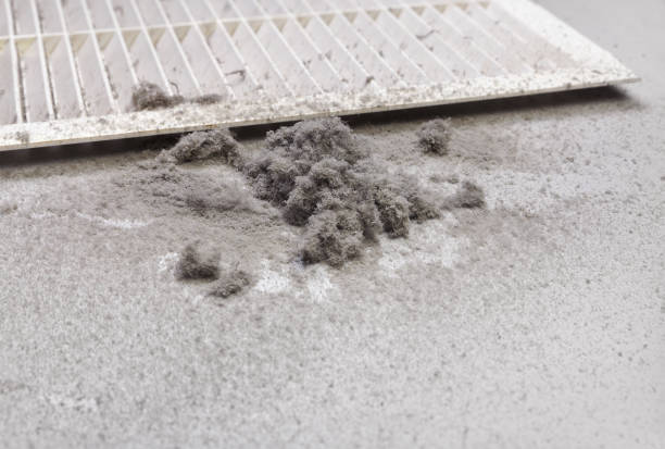Best Best Air Duct Cleaning Company  in Hortonville, WI