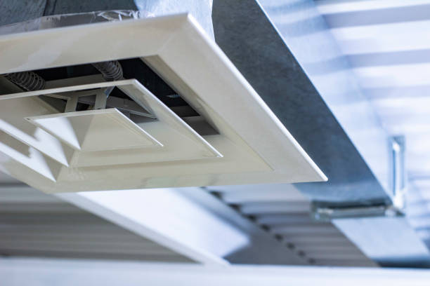 Air Duct Mold Removal in Hortonville, WI